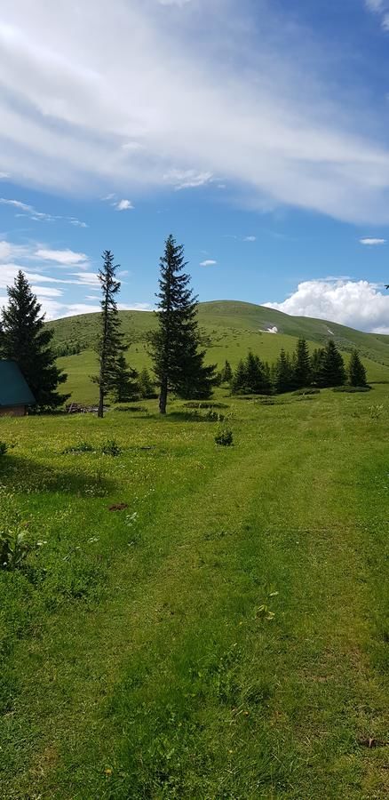 Отели типа «постель и завтрак» Hotel Dvor Биело-Поле-34